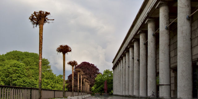 Gustav Metzger Strampelde Bäumf Installation mit kopfüber gestürzten Bäumen auf der Terrasse des Haus der Kunst, 2010 Foto: Marino Solokhov