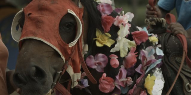 Mohamed Bourouissa: Horse Day, 2014 Film still. Courtesy the artist and kamel mennour, Paris © Mohamed Bourouissa