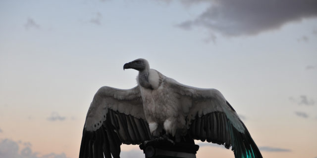 Matthew Barney und Jonathan Bepler: River of Fundament, 2014, Standbild, Foto: Hugo Glendinning © Matthew Barney. Courtesy Gladstone Gallery, New York and Brussels